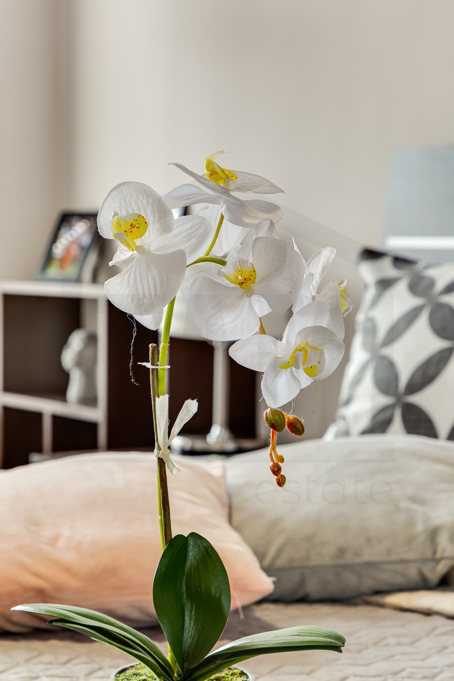 20230221-IMG_1851hdr